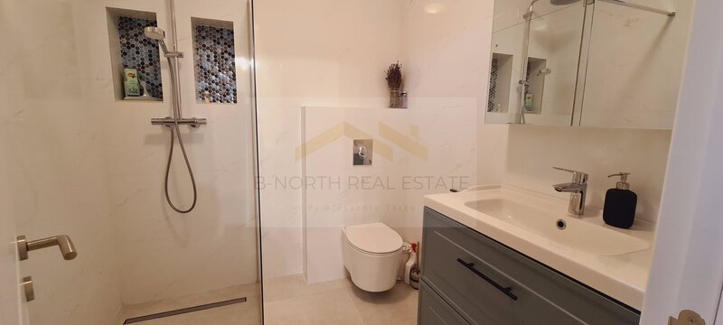 Otopeni, str. 23 August, langa Penny, vila de inchiriat,